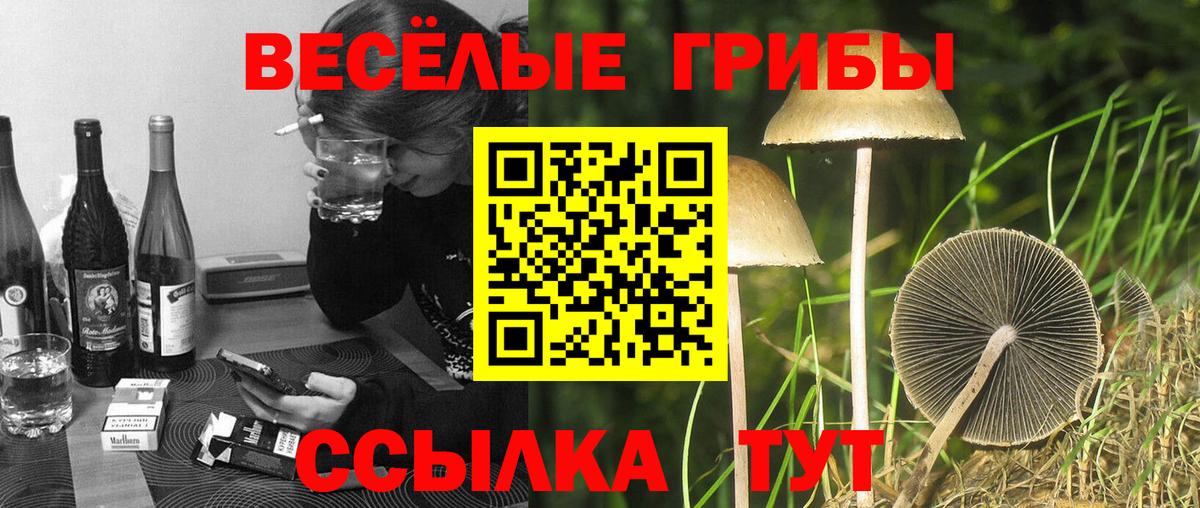 Псилоцибиновые грибы ЛСД Йошкар-Ола