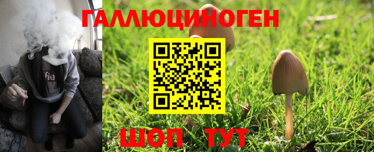 Галлюциногенные грибы Psilocybe  Вход с VPN  Йошкар-Ола 